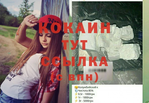 ешки Алексин