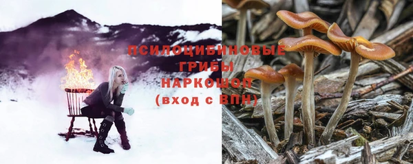 прущая мука Алзамай