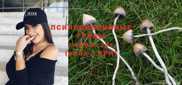 марки nbome Алексеевка